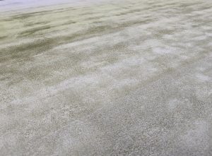 Gradation-Green--Grey-(2)